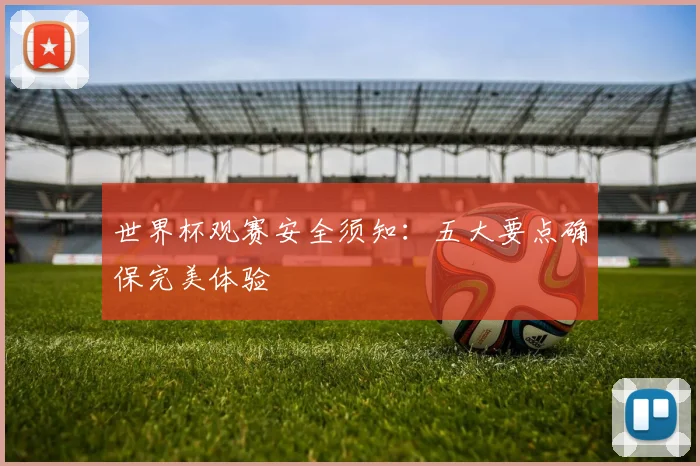 世界杯观赛安全须知:五大要点确保完美体验