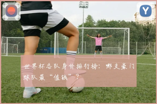 世界杯各队身价排行榜：哪支豪门球队最“值钱”？