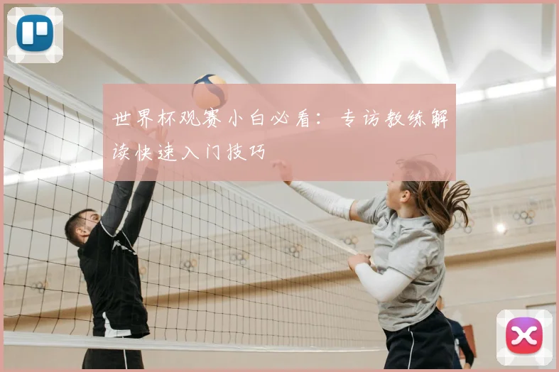 世界杯观赛小白必看:专访教练解读快速入门技巧