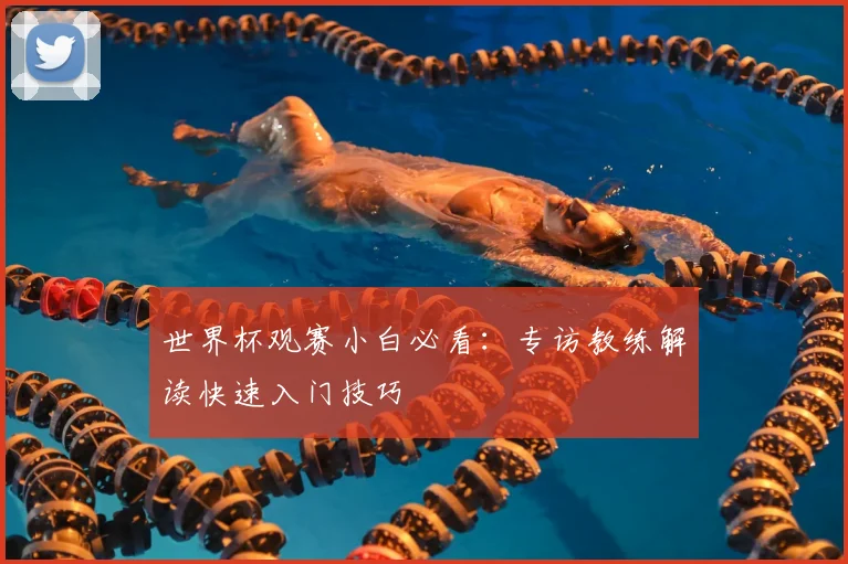 世界杯观赛小白必看：专访教练解读快速入门技巧