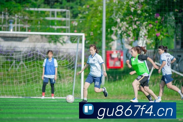 多媒体互动体验